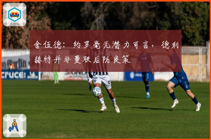 舍伍德：约罗毫无潜力可言，德利赫特并非曼联后防良策